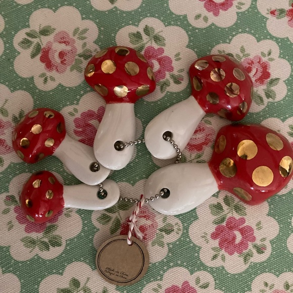 Molly Hatch for Anthropologie Toadstool Mushroom Measuring spoon set - Picture 2 of 6